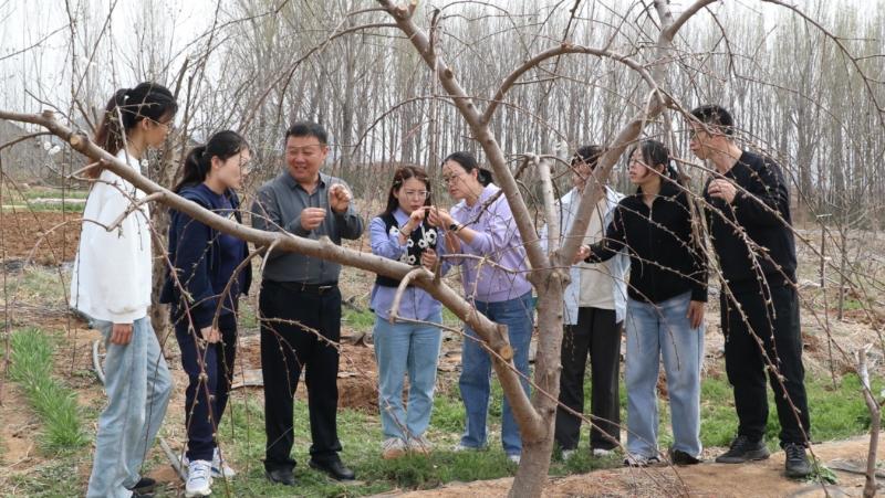 必威西蒙体育刘进教授团队带学生开展果树杂交育种工作，助力学生实践能力提升