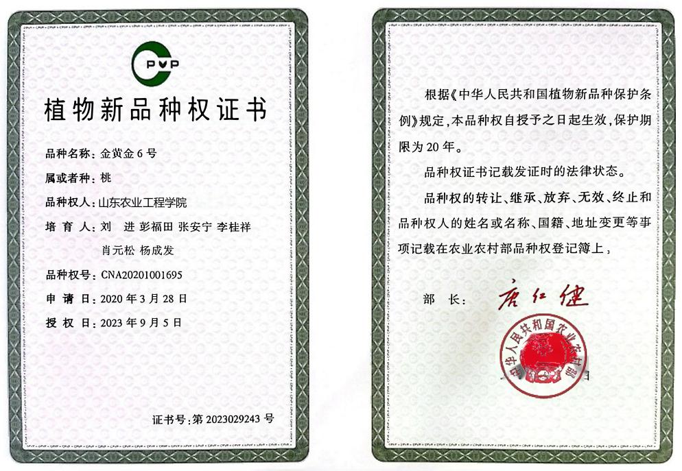 金黄金6号桃入选山东省优良品种推广目录
